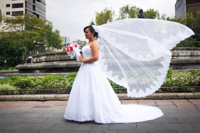 Novia y velo