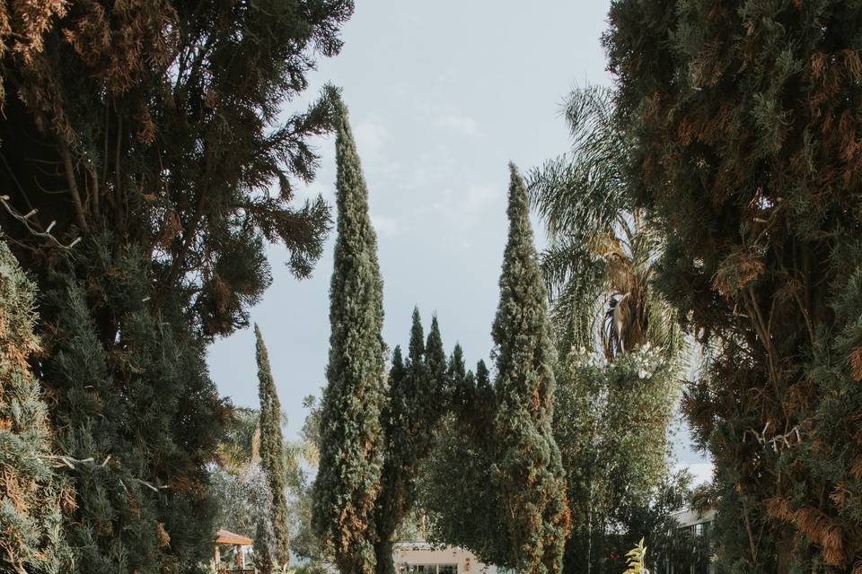 Hacienda del Ciprés