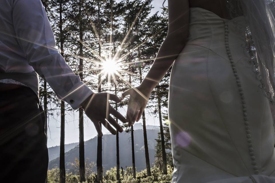 Sesión de boda