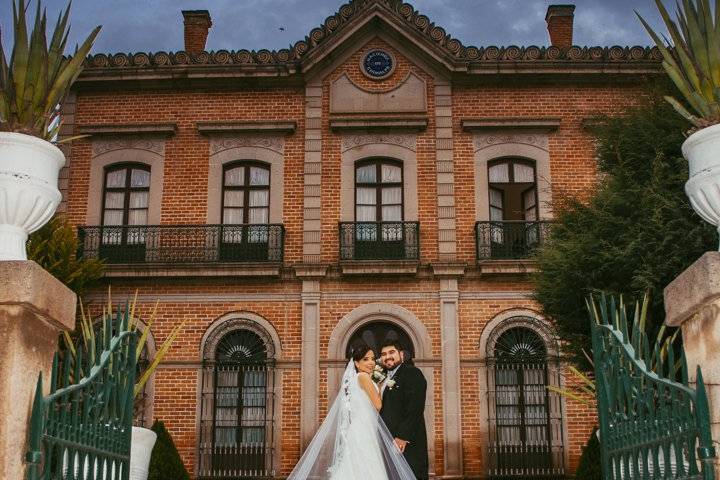 Novios