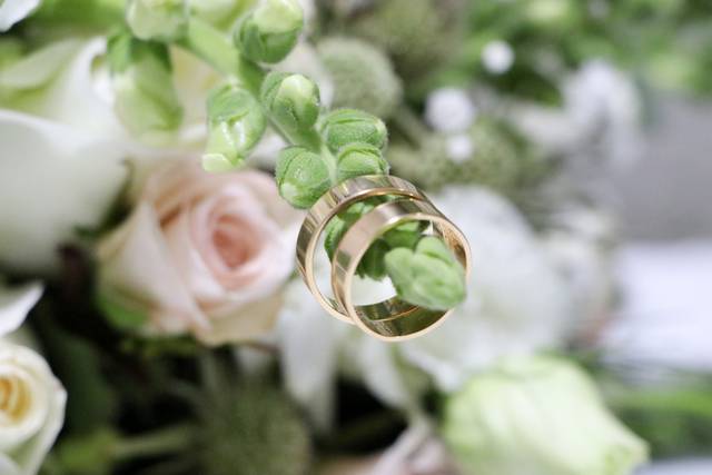 Anillos