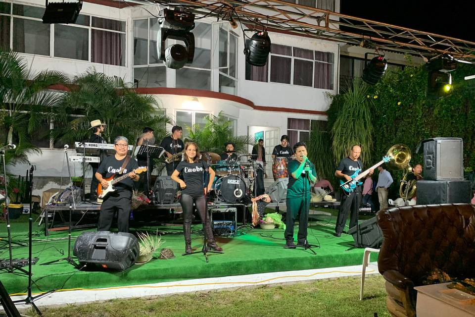 Grupo de música para eventos