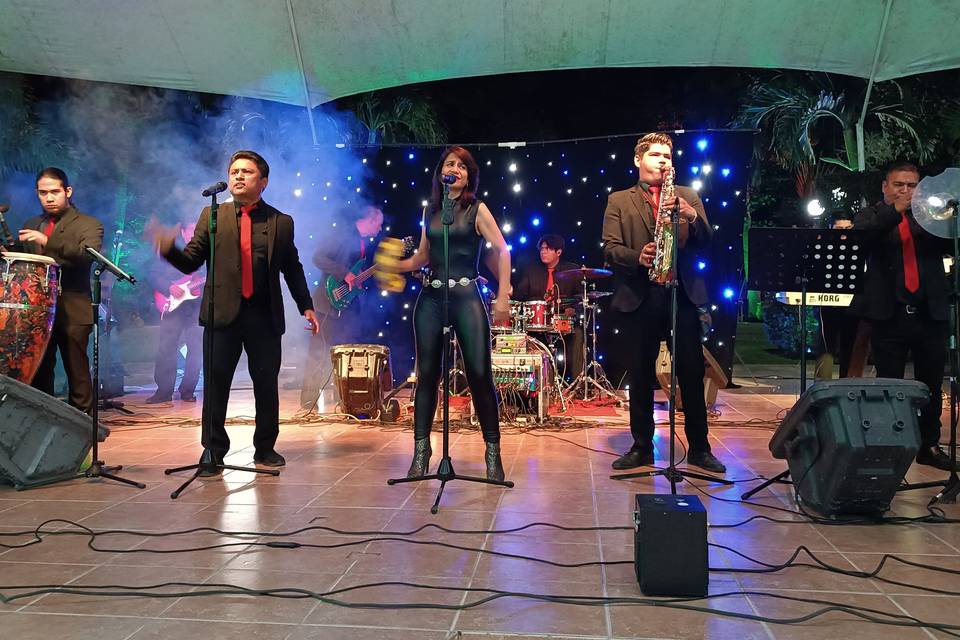 Grupo musical