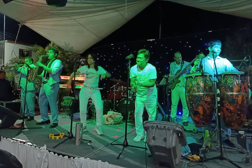 Grupo de música para eventos