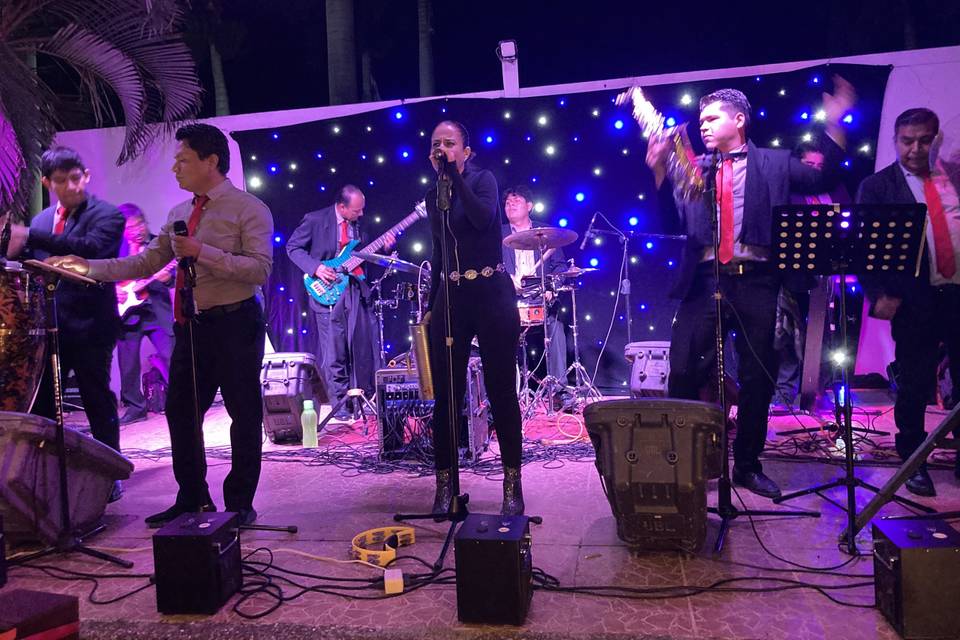 Grupo de música para eventos