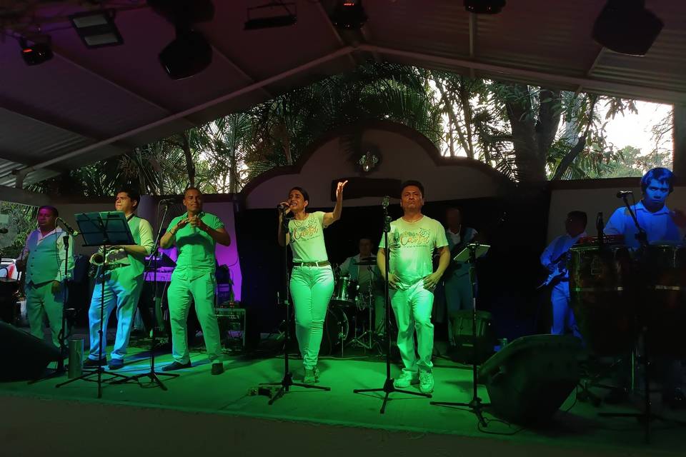 Grupo de música con iluminación verde