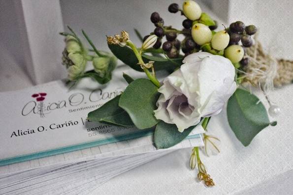 Experiencia en el servicio