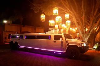 International Limousines