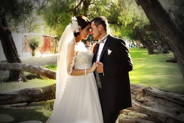 Bellos momentos