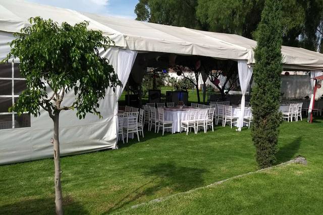 Carpa elegante