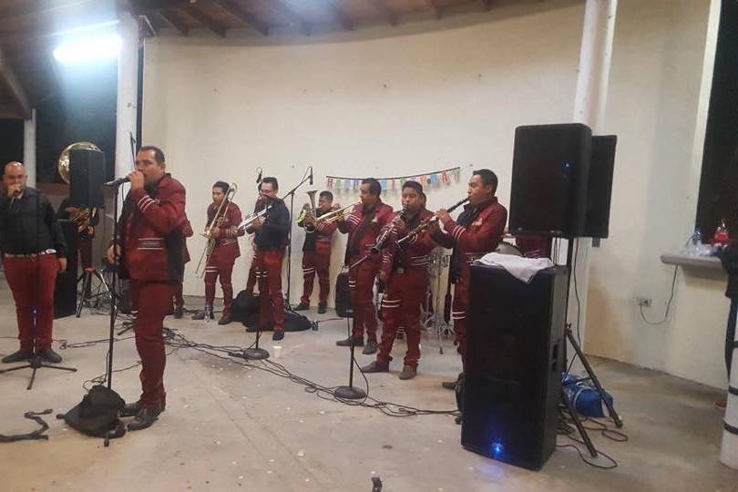 Bandas en Tijuana VIP