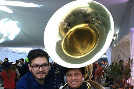 Profesionales
