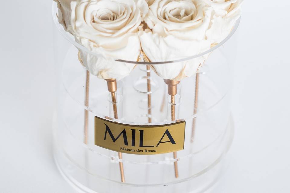 Mila Maison des Roses