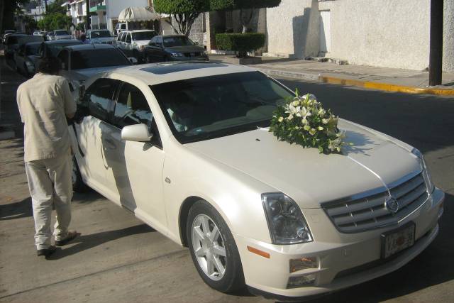 Captando todos los momentos