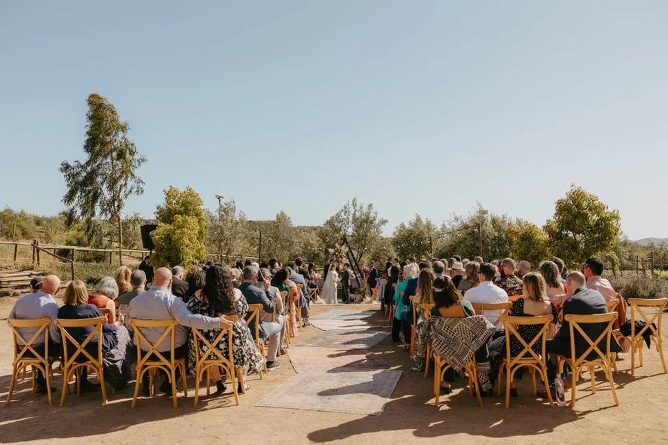 Ceremonia nupcial en viñedo