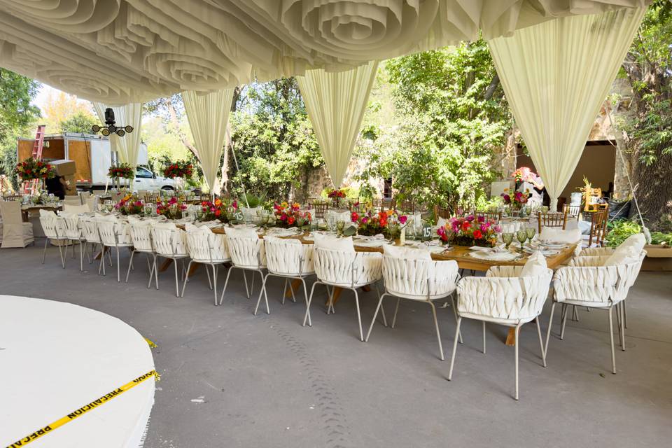 Bodas