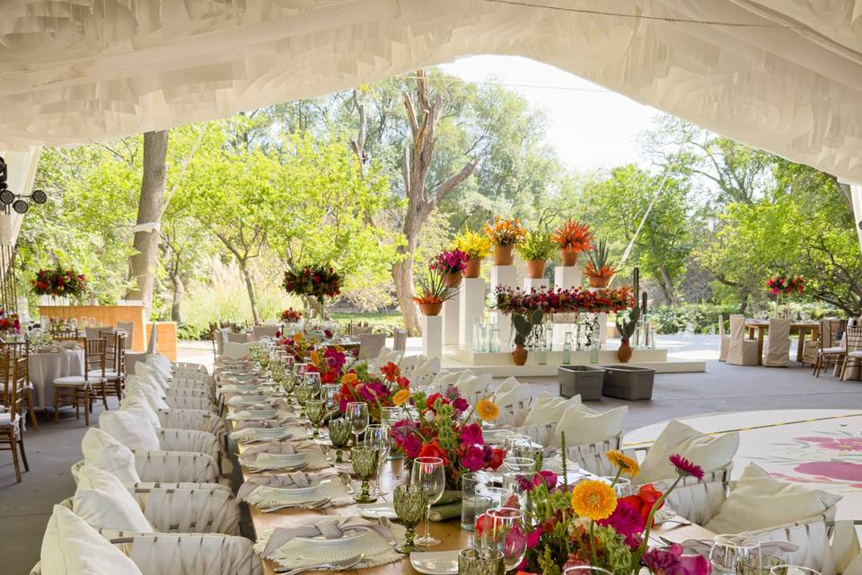 Bodas
