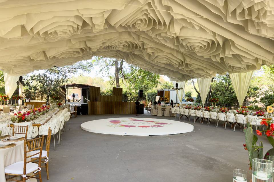 Bodas