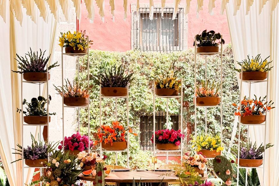 Bodas