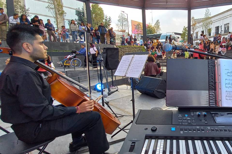 Festival Cultural