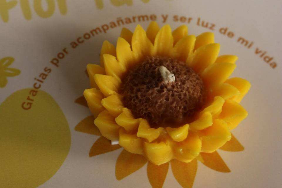 Girasol