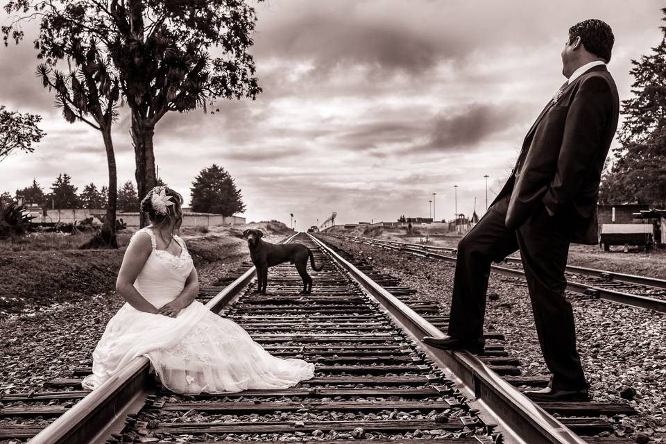 Trash the dress