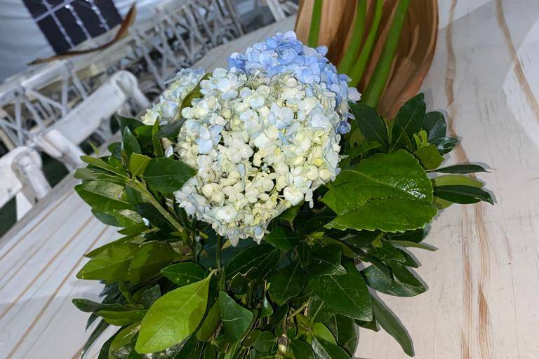Arreglos florales
