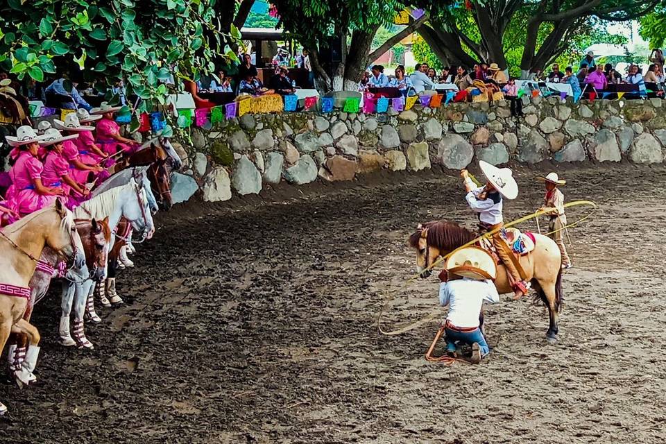 Animación con caballos