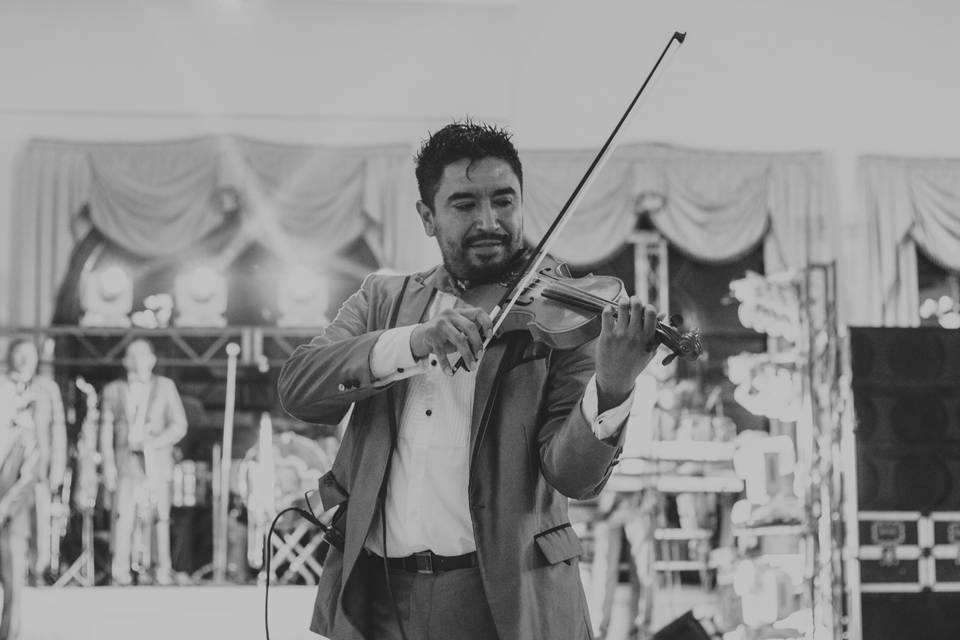 Violinista