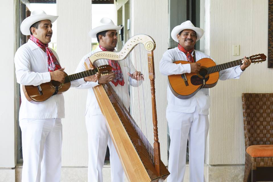 Trío jarocho