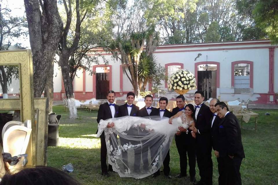 Bodas