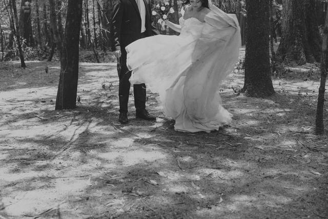Novios posando en el bosque