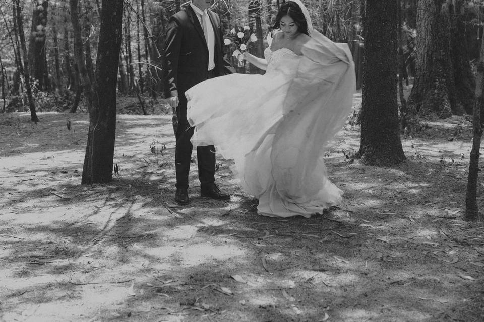 Novios posando en el bosque