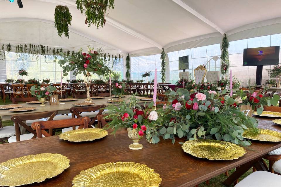 Tania Reyes Event Planner