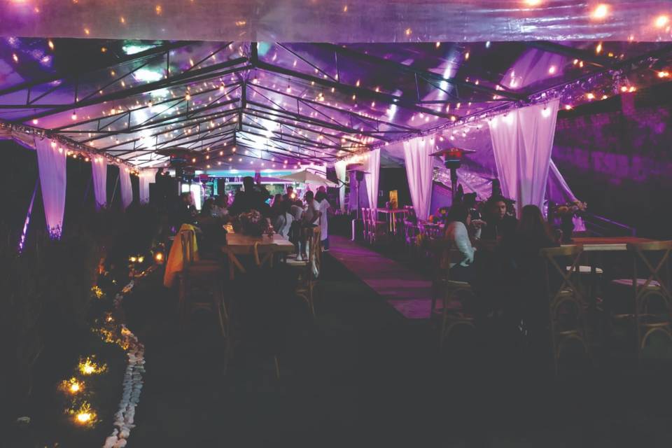 Carpa y luz