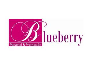 Blueberry logo