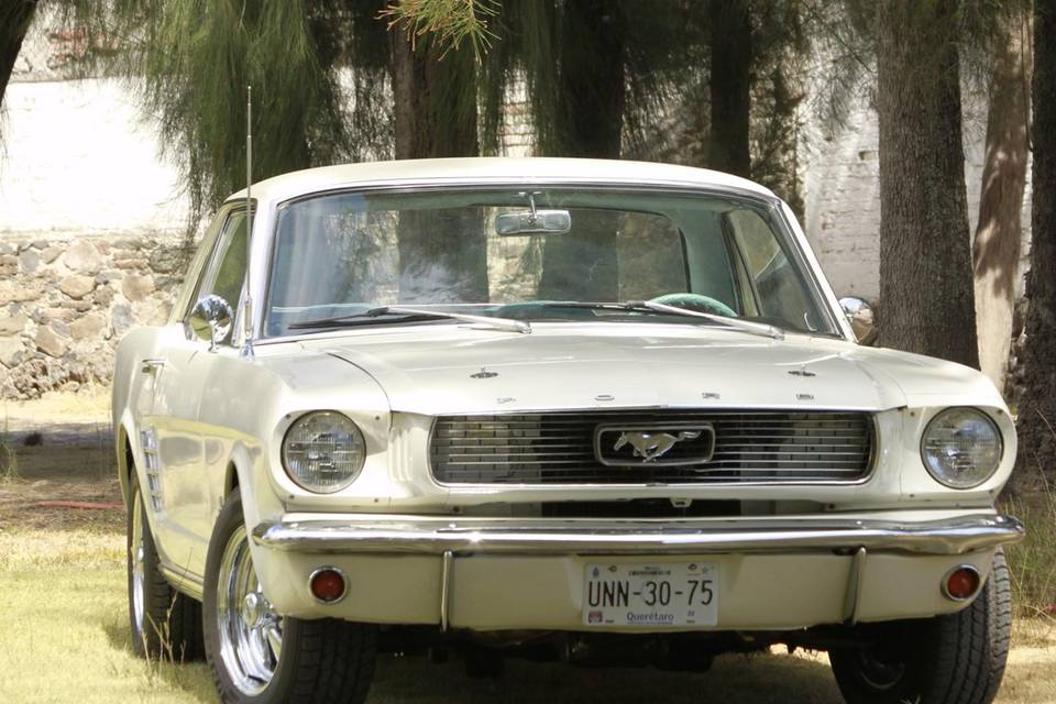 Ford Mustang 1966