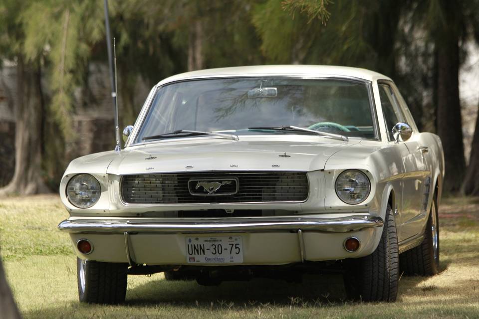 Ford Mustang 1966