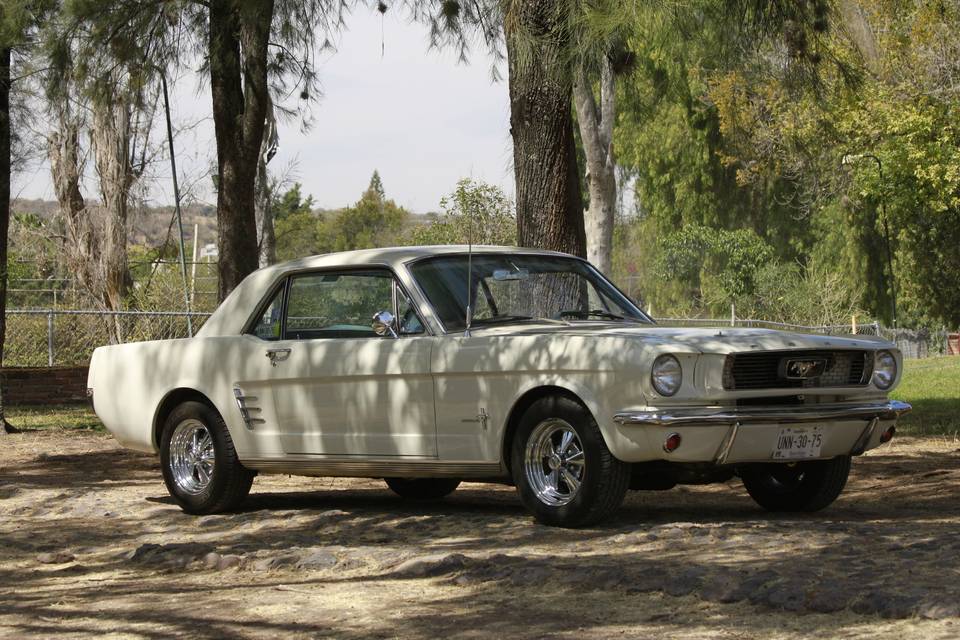 Ford Mustang 1966