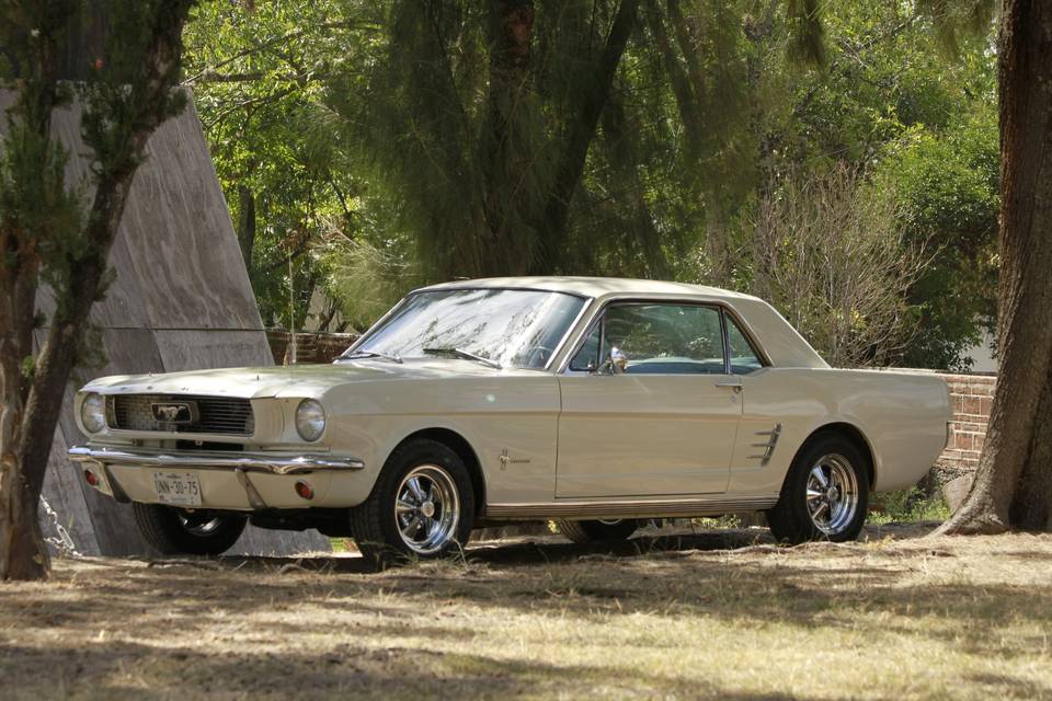 Ford Mustang 1966