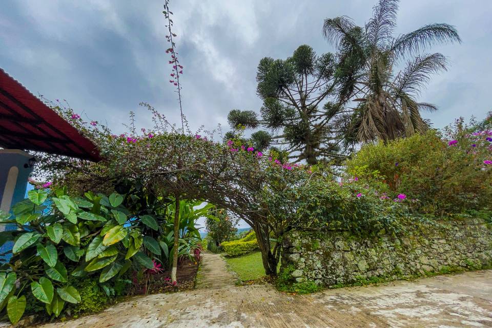 Acceso hacia el jardín