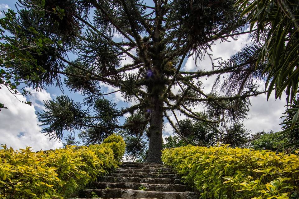 Escaleras al mirador