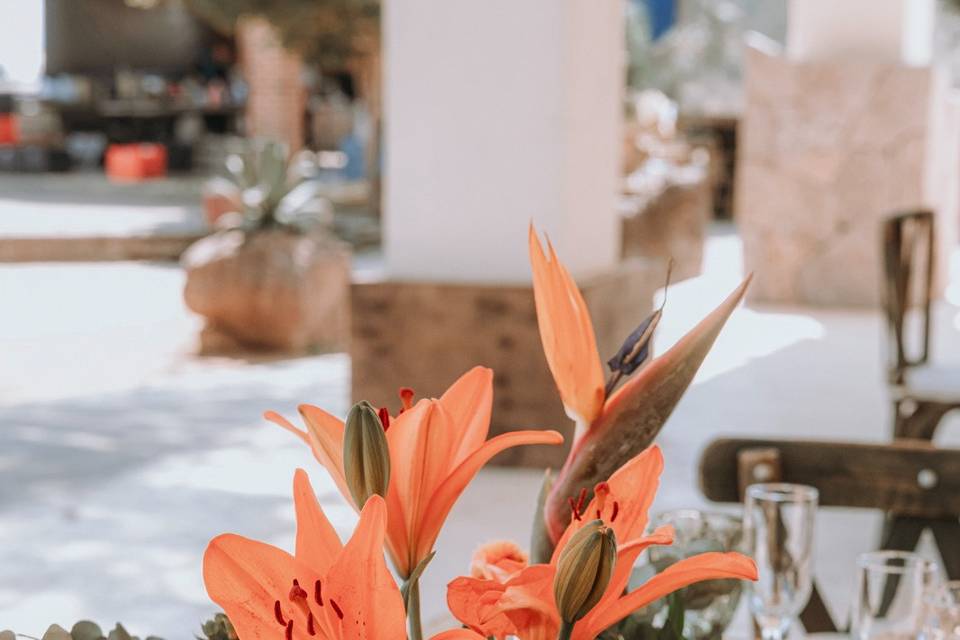 Orange