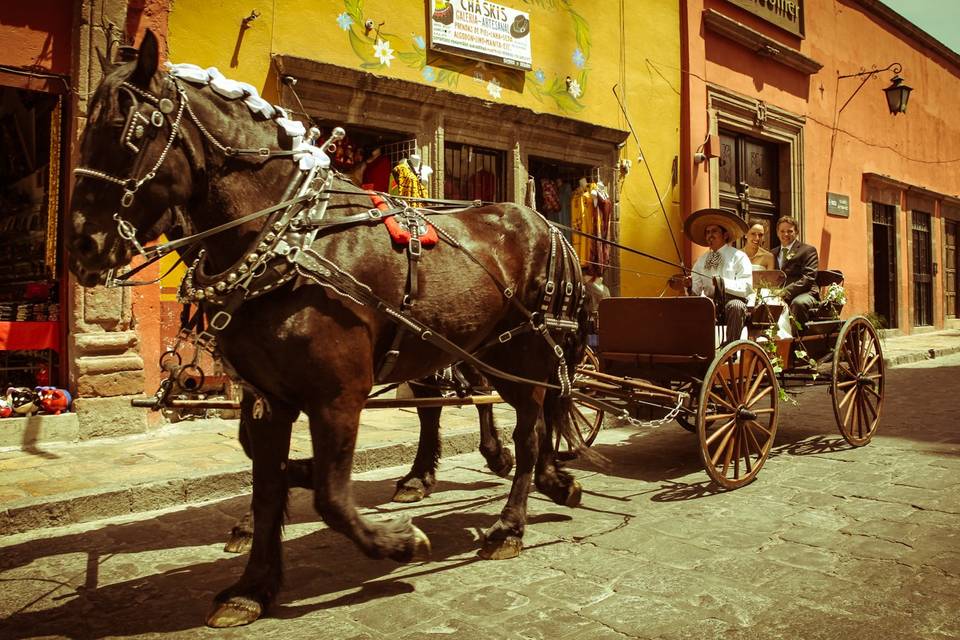 Camino hacia el altar