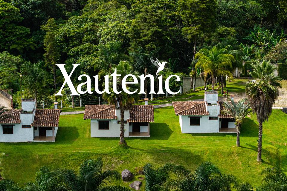 Xautenic