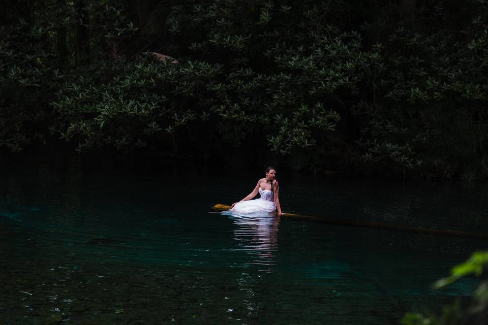 Trash the Dress