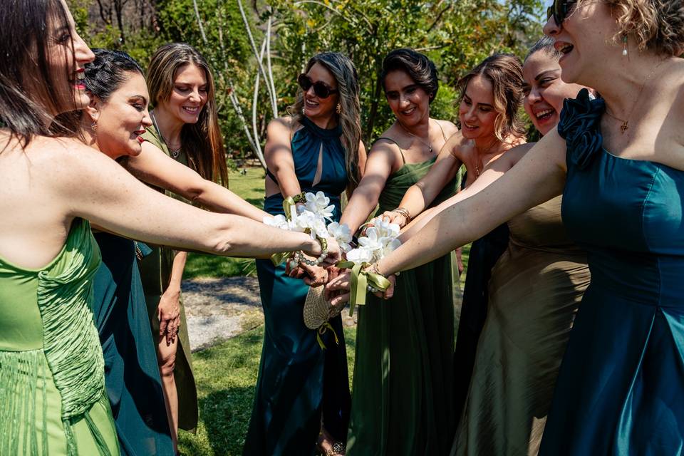Damas