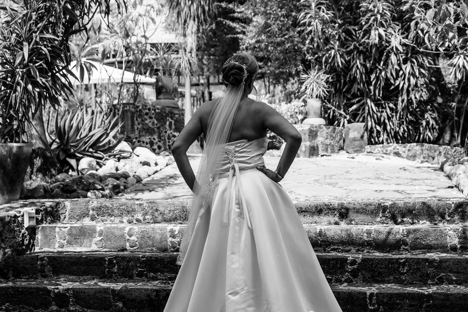 Novia