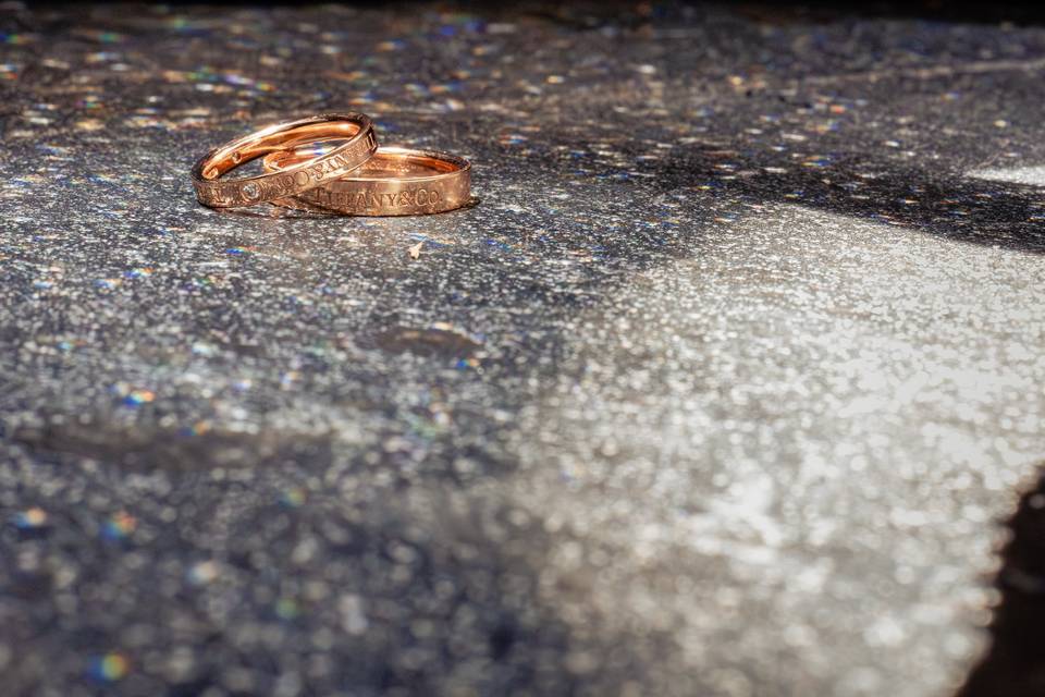 Anillos