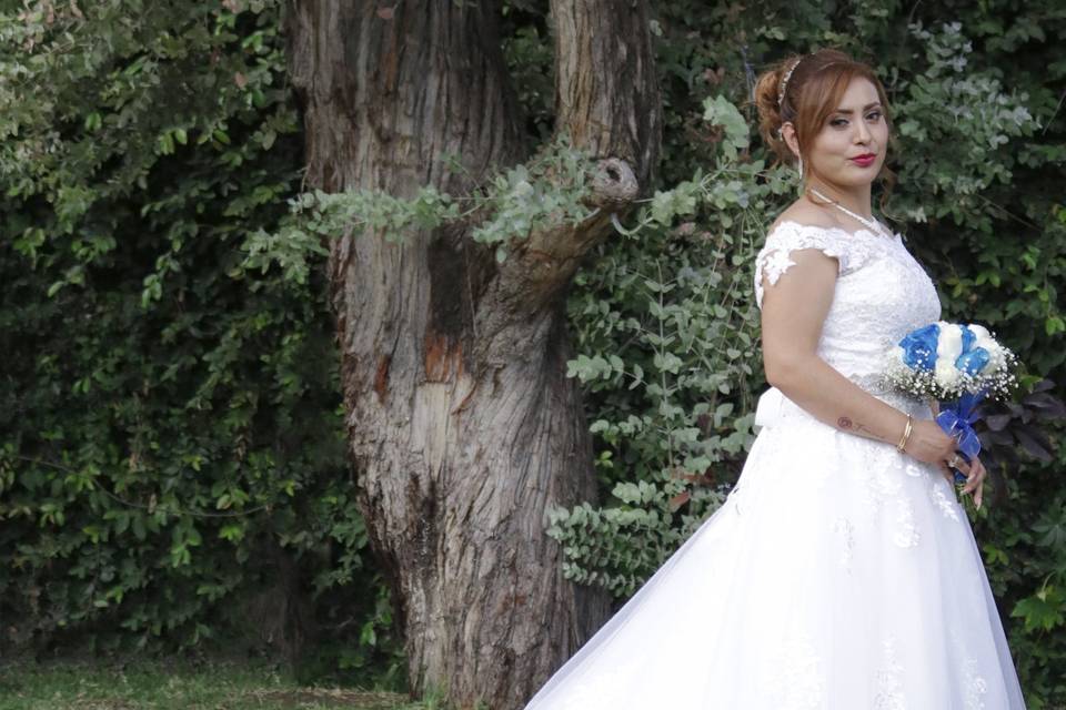 Novia en jardín